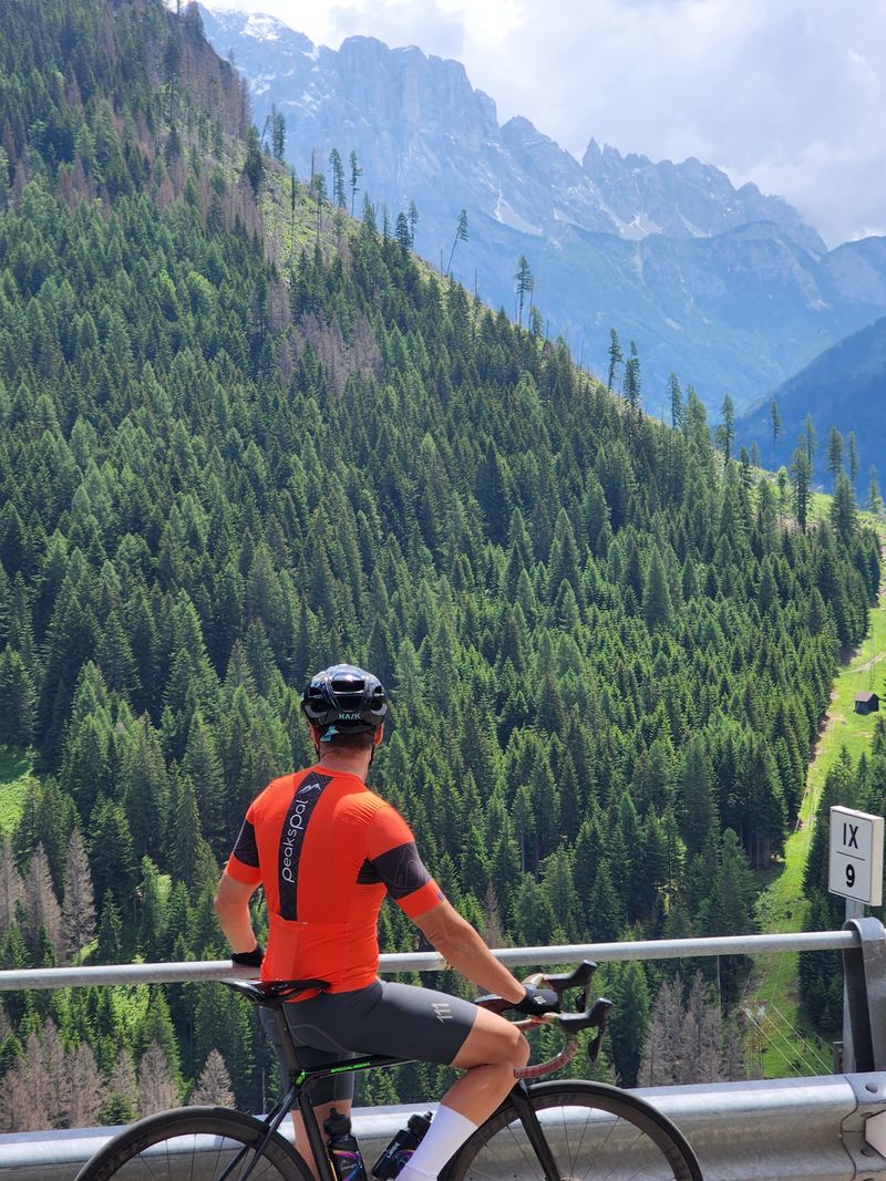 A rider pausing at a barrier to look across a forested valley